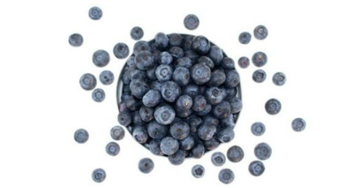 FREE All Natural, Organic Blueberry Multivitamin Fruit Bits Sample ...