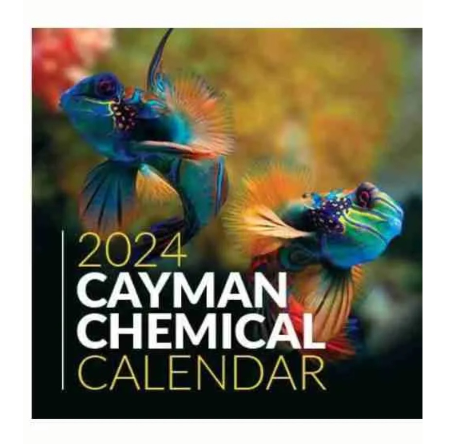 FREE 2024 Cayman Calendar! MWFreebies
