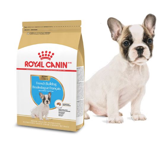 FREE Royal Canin Breed Health Nutrition French Bulldog Puppy Dry Dog ...